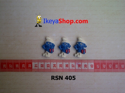 rsn 405  large2